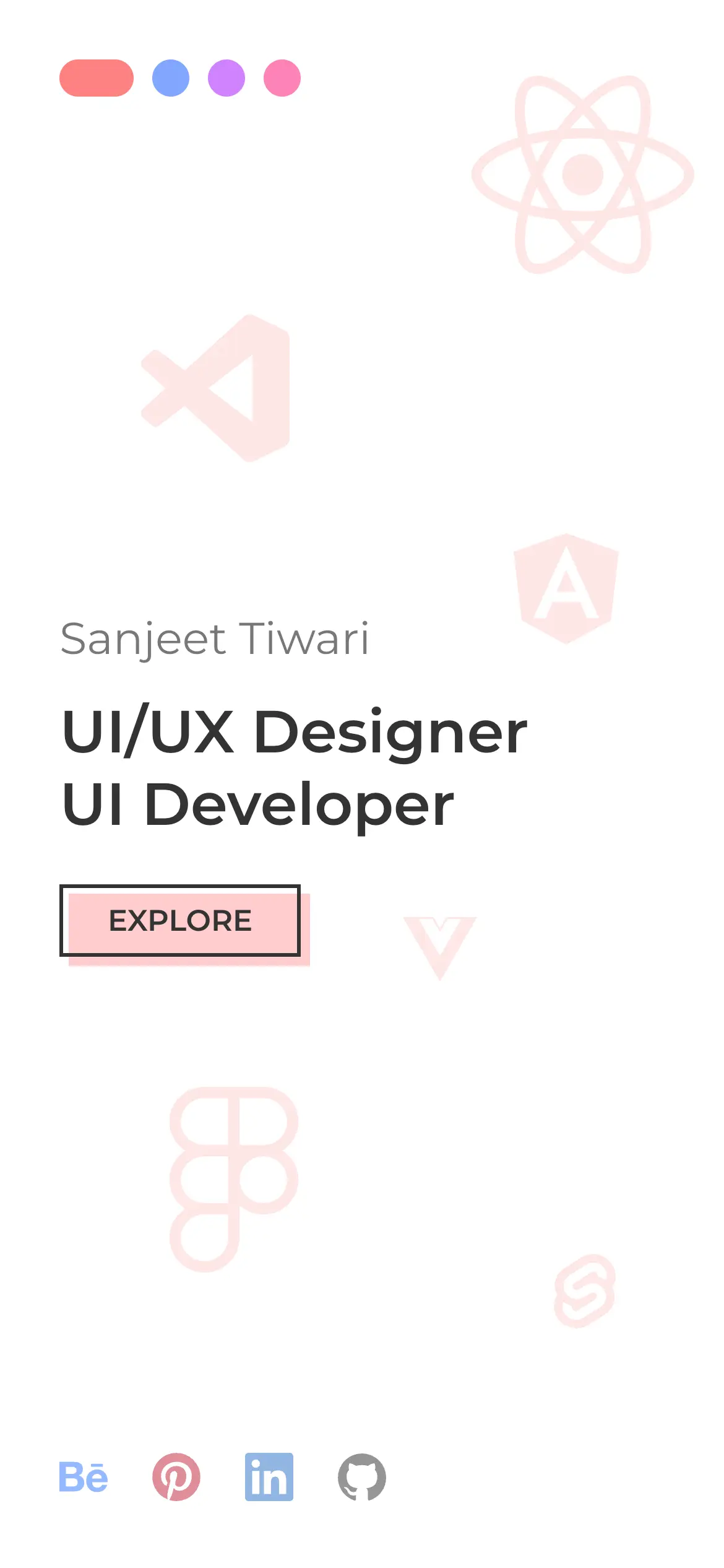 Developer Portfolio Website